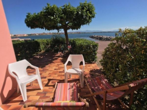 T2 cabine 6 pers, piscine, parking, animaux admis - FR-1-81-467